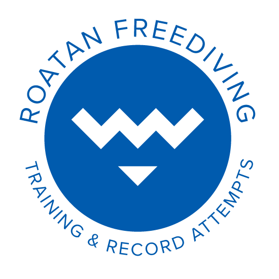 Roatan-Freediving-training